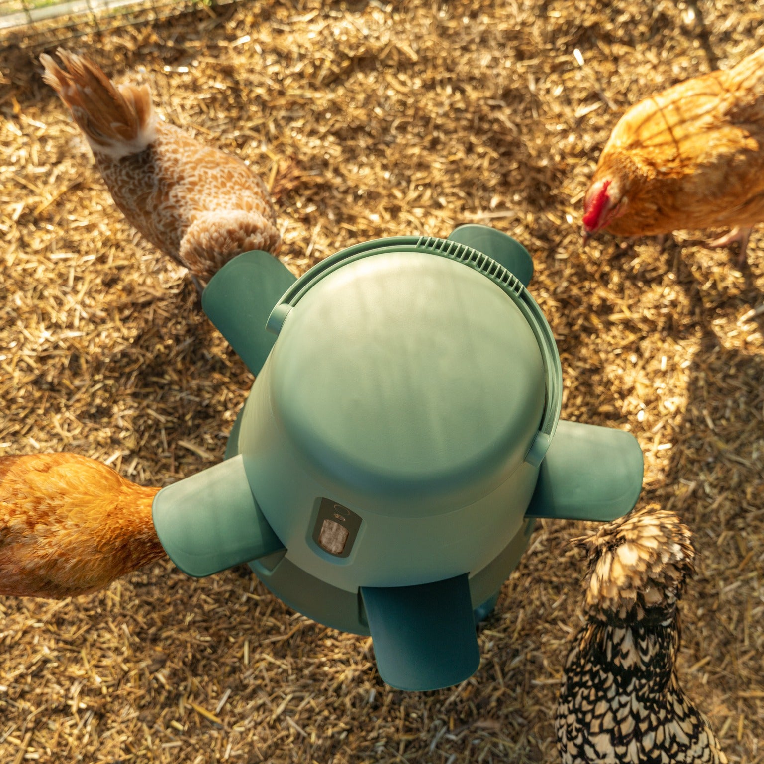 Smart No-Waste Chicken Feeder – 12LB Automatic Poultry Feeding System