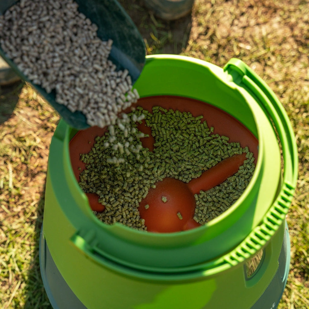 Smart No-Waste Chicken Feeder – 12LB Automatic Poultry Feeding System
