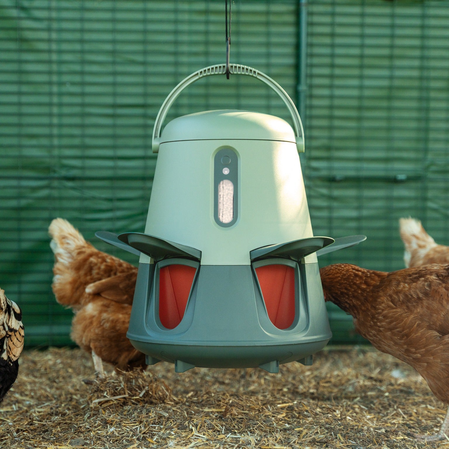 Smart No-Waste Chicken Feeder – 12LB Automatic Poultry Feeding System